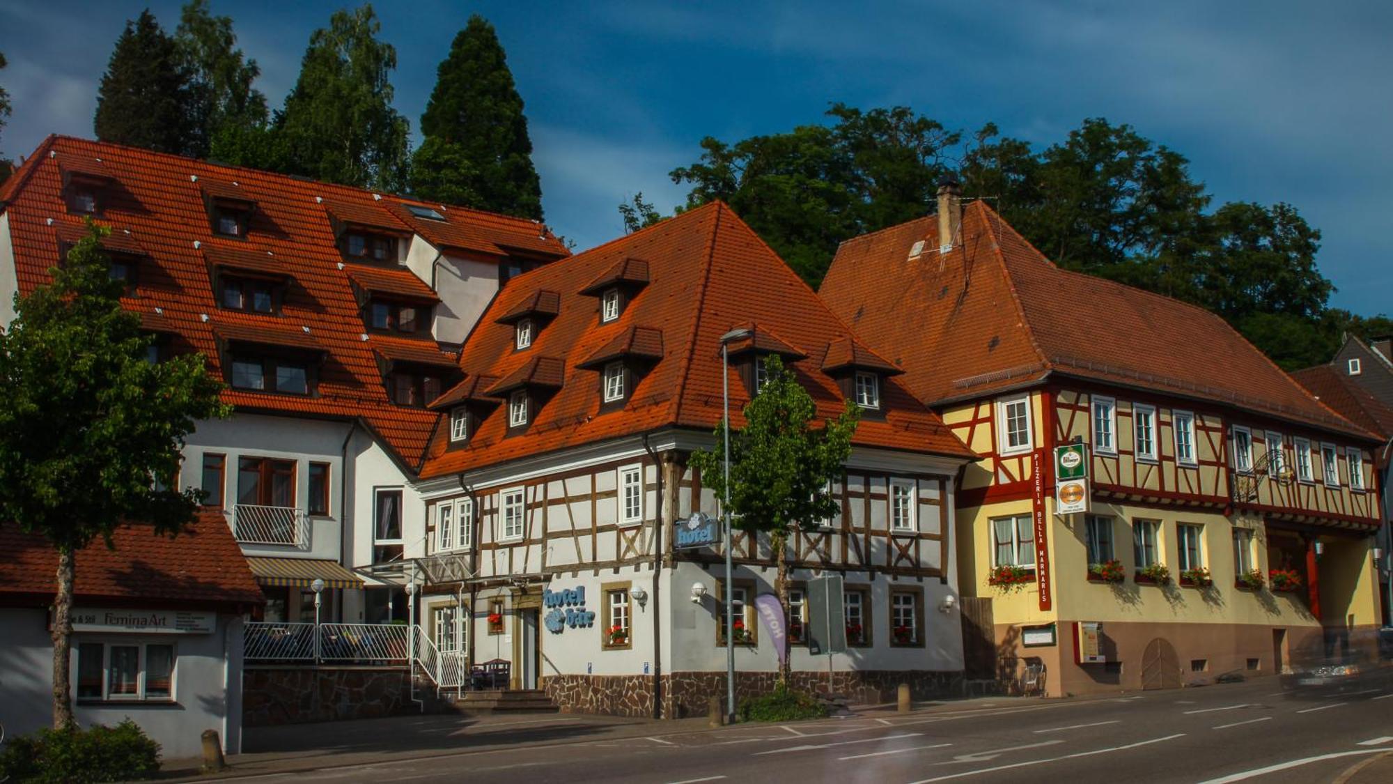 Hotel Baer Sinsheim Dış mekan fotoğraf